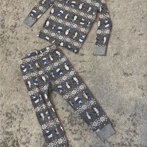 Hanna Andersson Penguin Winter Pajama Set – Size 3T Organic Cotton